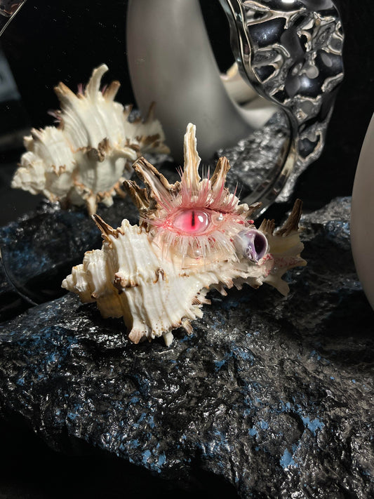 Baby Ocean Genie 🐚